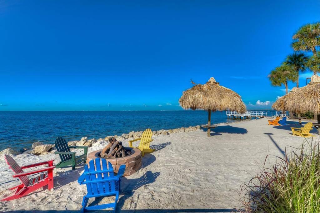 311-wifi And Electric-amazing Views Apartment Tampa